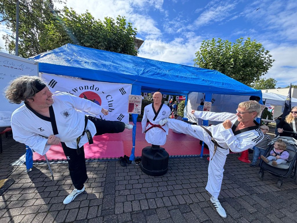 Ehrenamtstag in Alzey