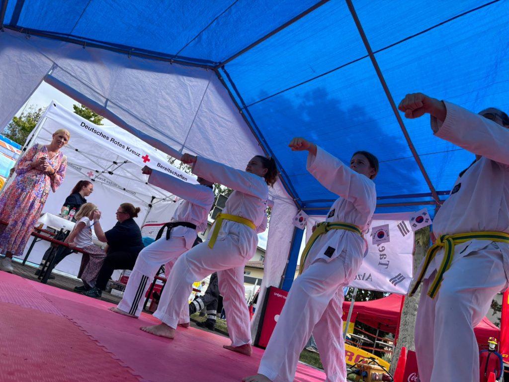 Ehrenamtstag in Alzey