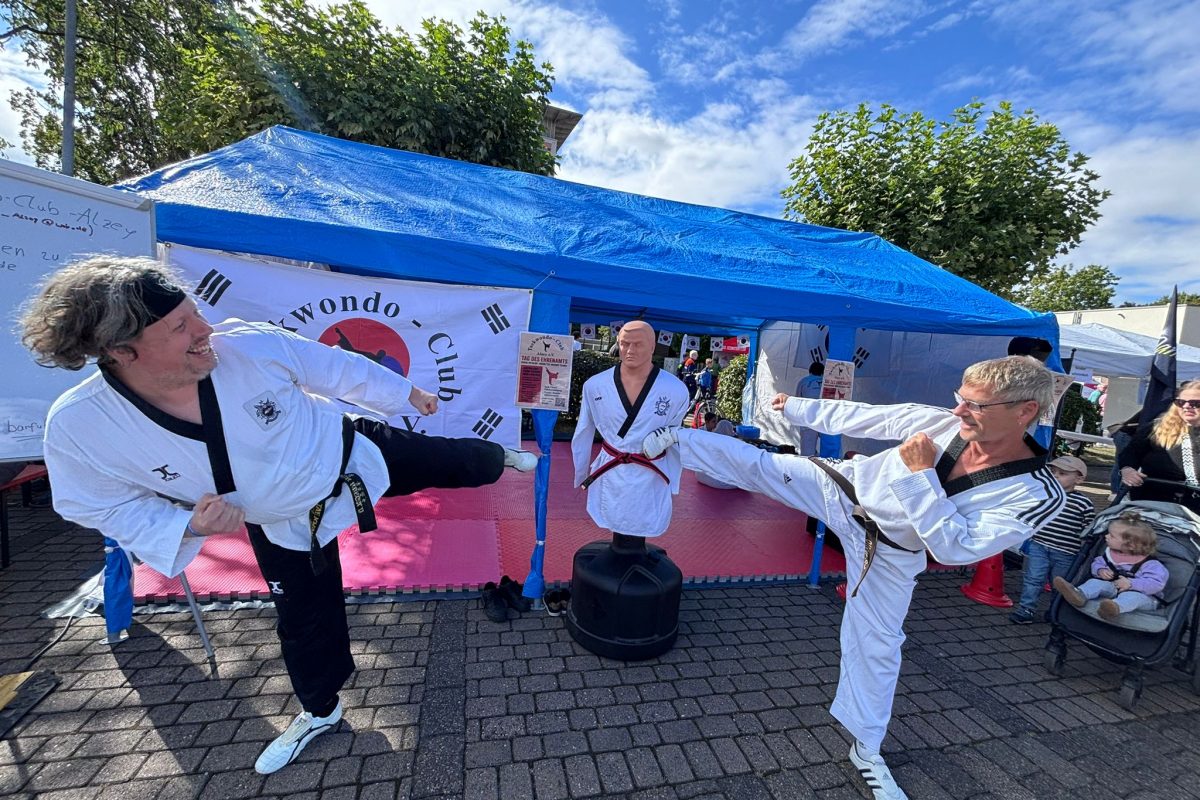 Ehrenamtstag in Alzey