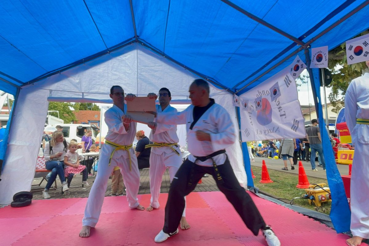 Ehrenamtstag in Alzey