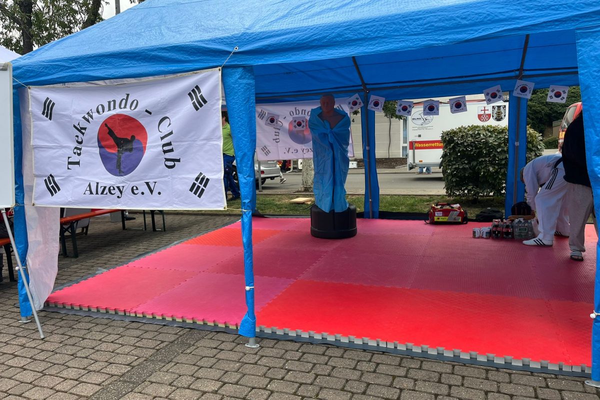 Ehrenamtstag in Alzey