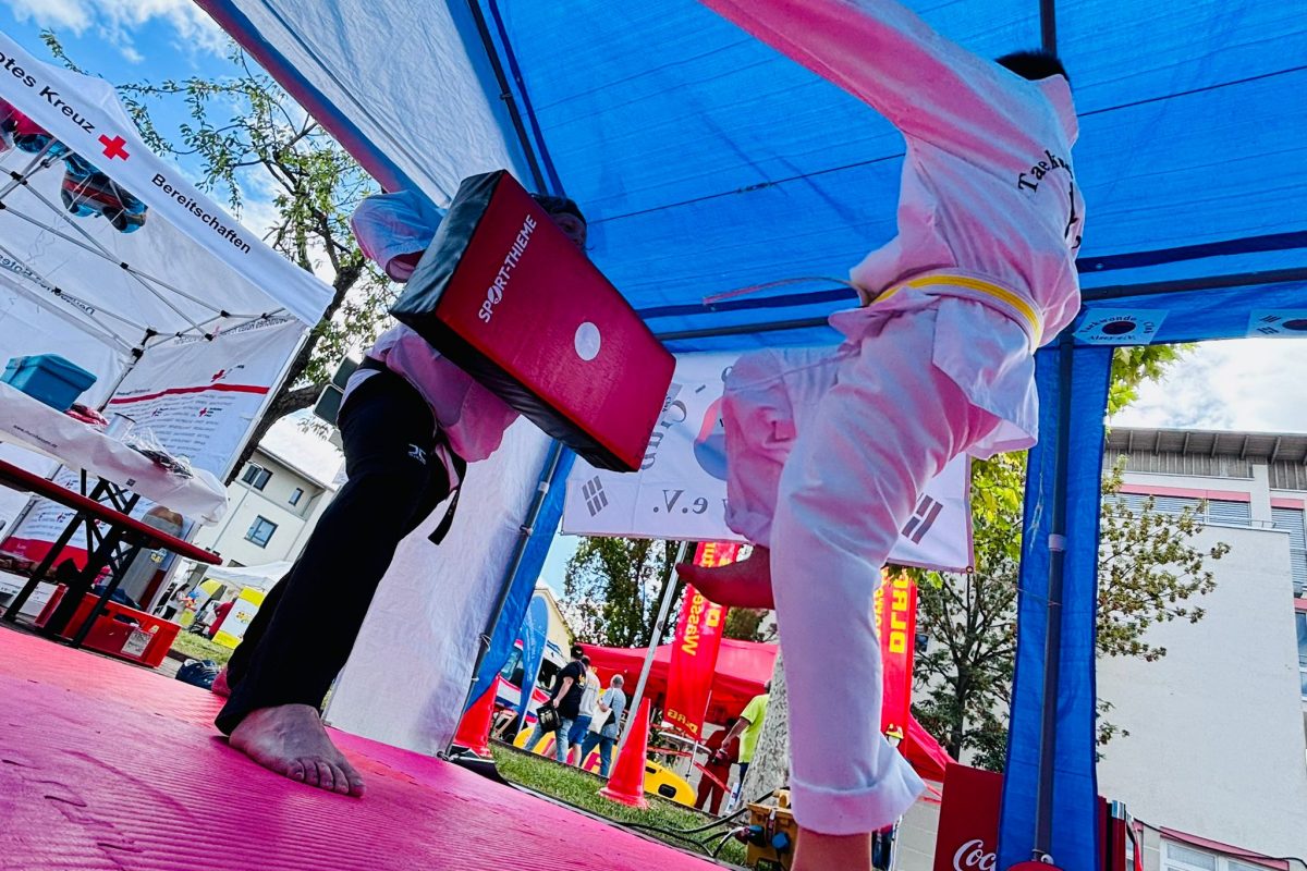 Ehrenamtstag in Alzey